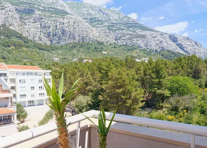 Marinovic 마카르스카